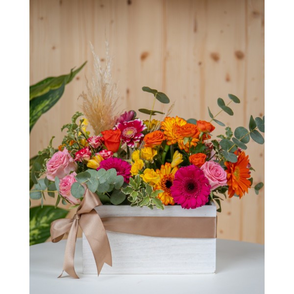 Cassetta mista varie dimensioni